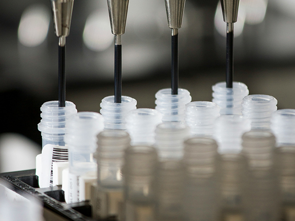 group-lab-mostafavi-lab Vials of DNA samples being prepared for genetic sequencing